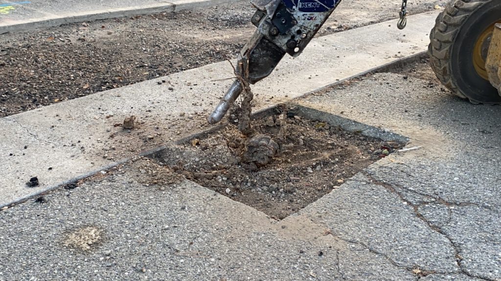 Quick Service Restaurant Pavement Repair Services 1 Completed paving project in Northern California, California. Professional asphalt and concrete work by We Love Paving serving Northern California area.