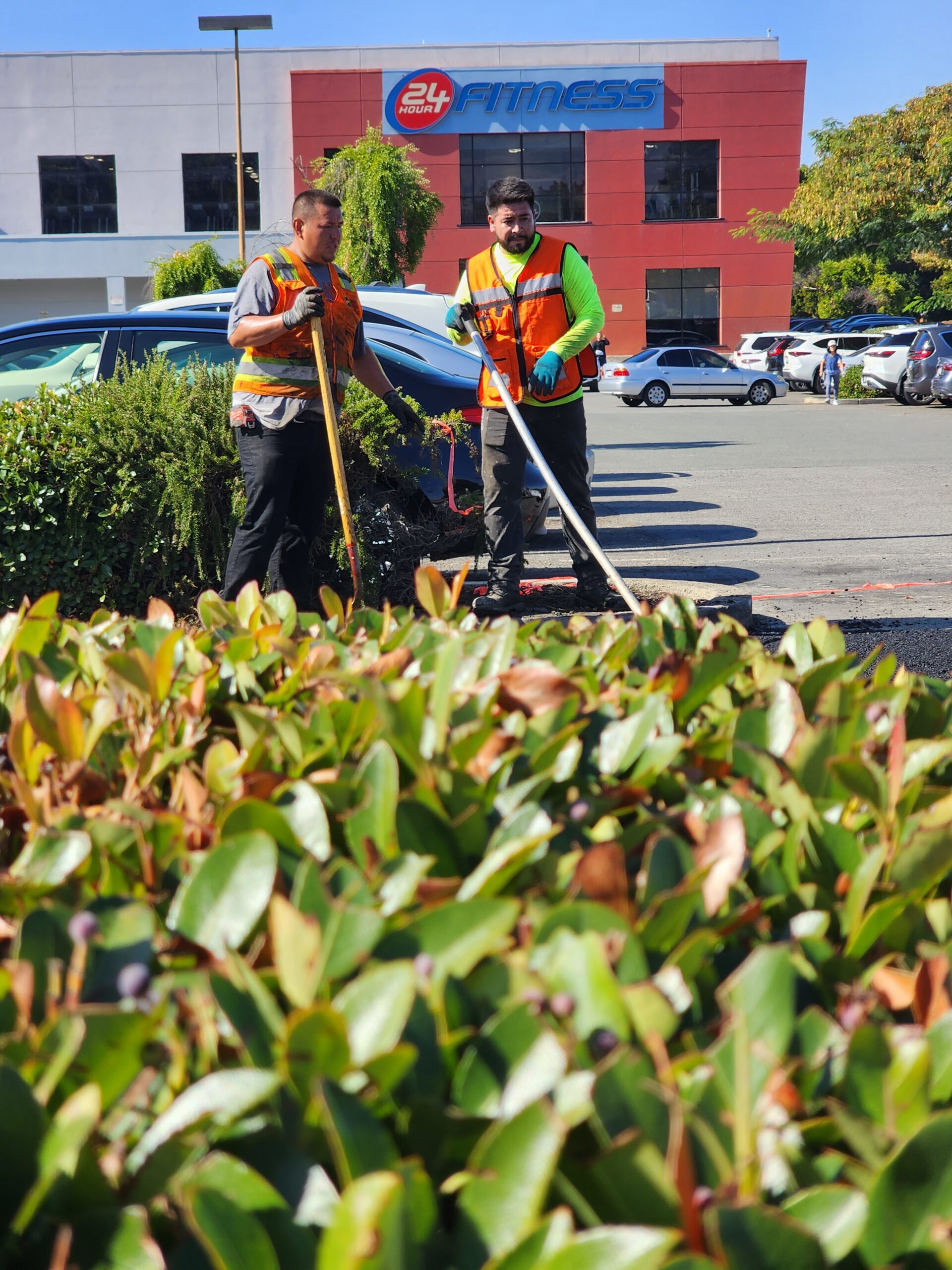 Maximizing Value: Cost-Effective Asphalt Solutions in California