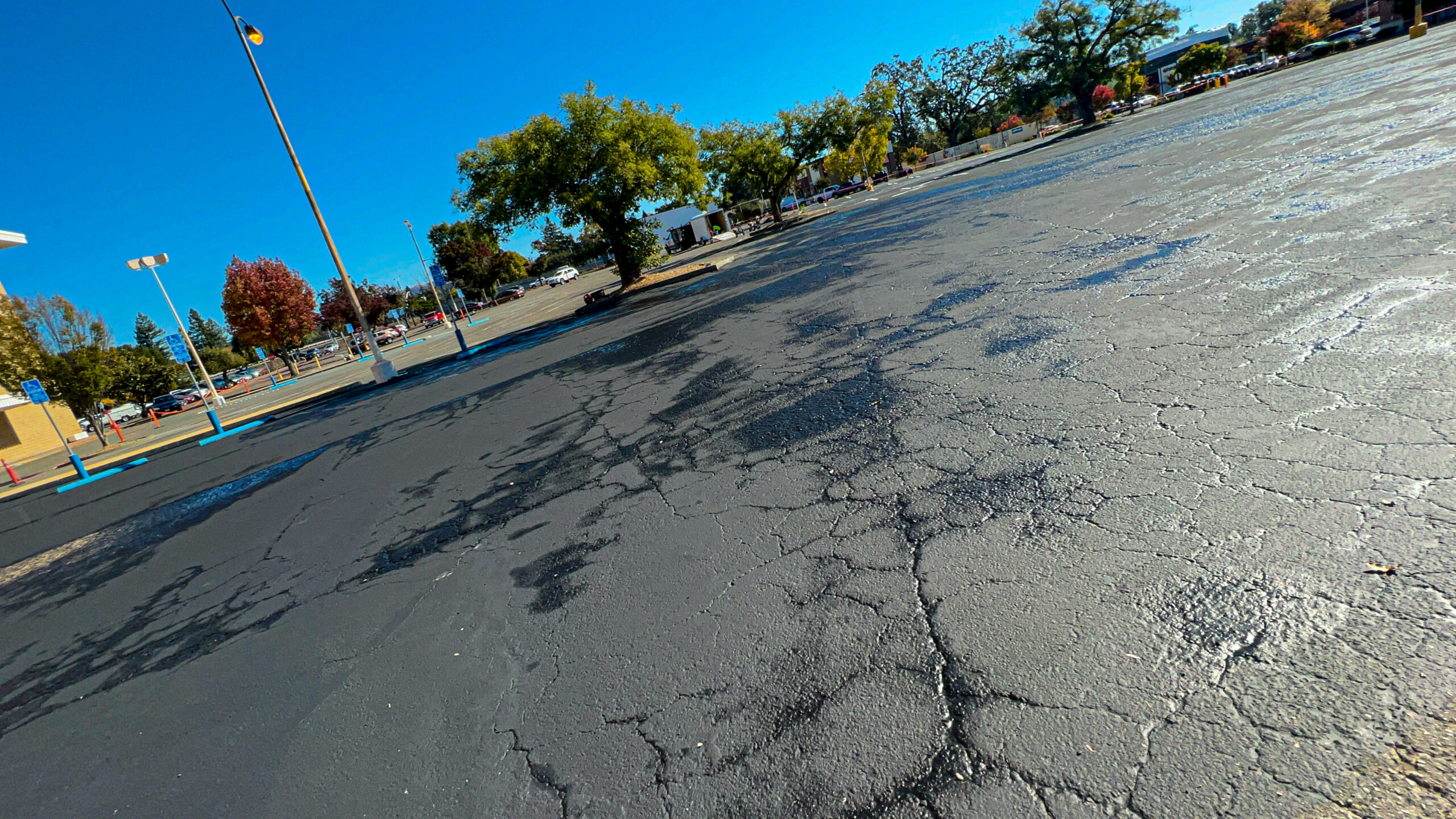 Why is My Asphalt Driveway Cracking?