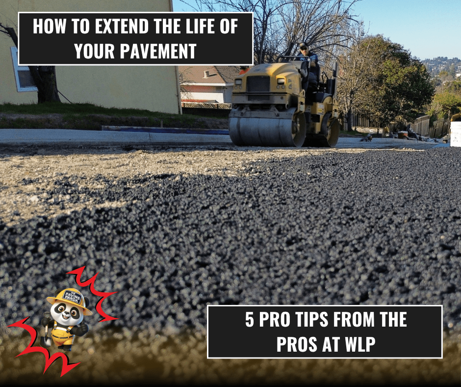 How to Extend the Life of Your Pavement: 5 Pro Tips from the Pros at WLP