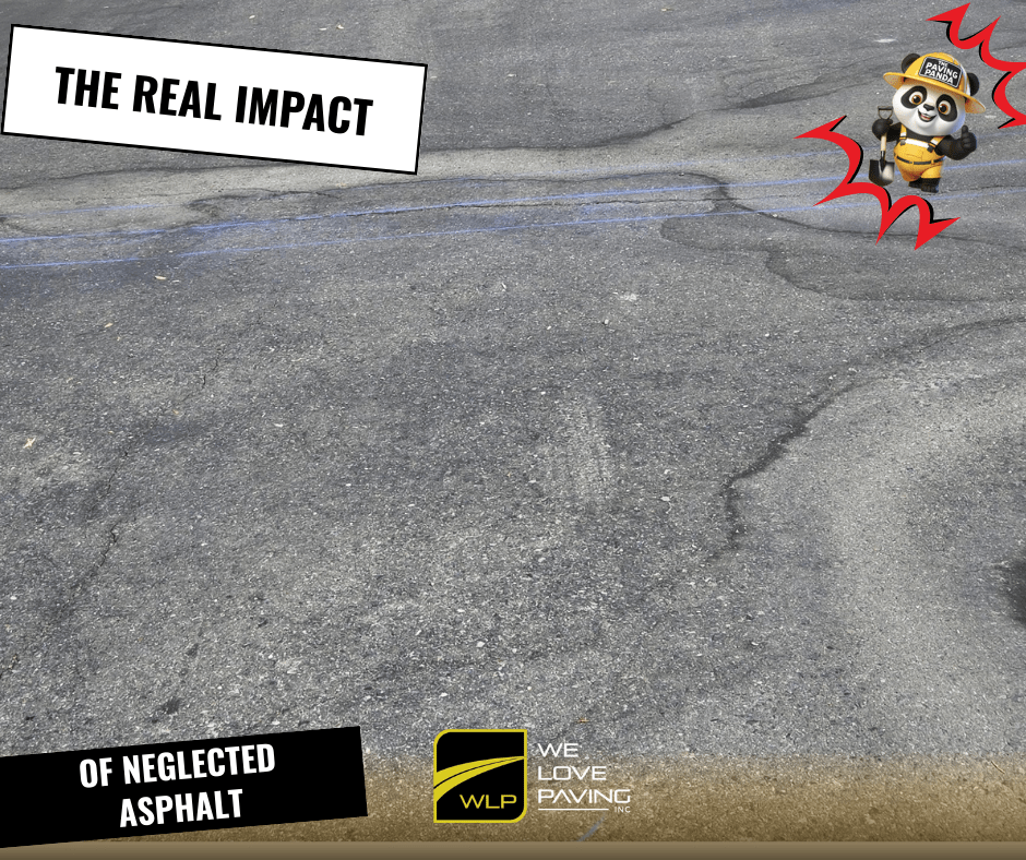 The Real Impact of Neglected Asphalt Maintenance