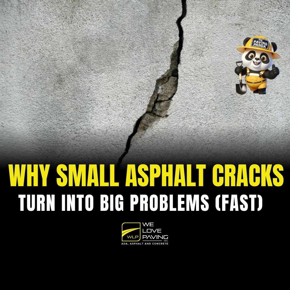 Why Small Asphalt Cracks Turn Into Big Problems (Fast)
