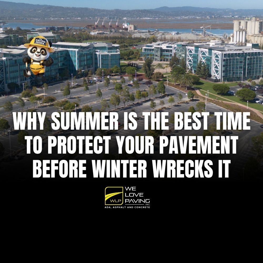 Why Summer Is the Best Time to Protect Your Pavement Before Winter Wrecks It