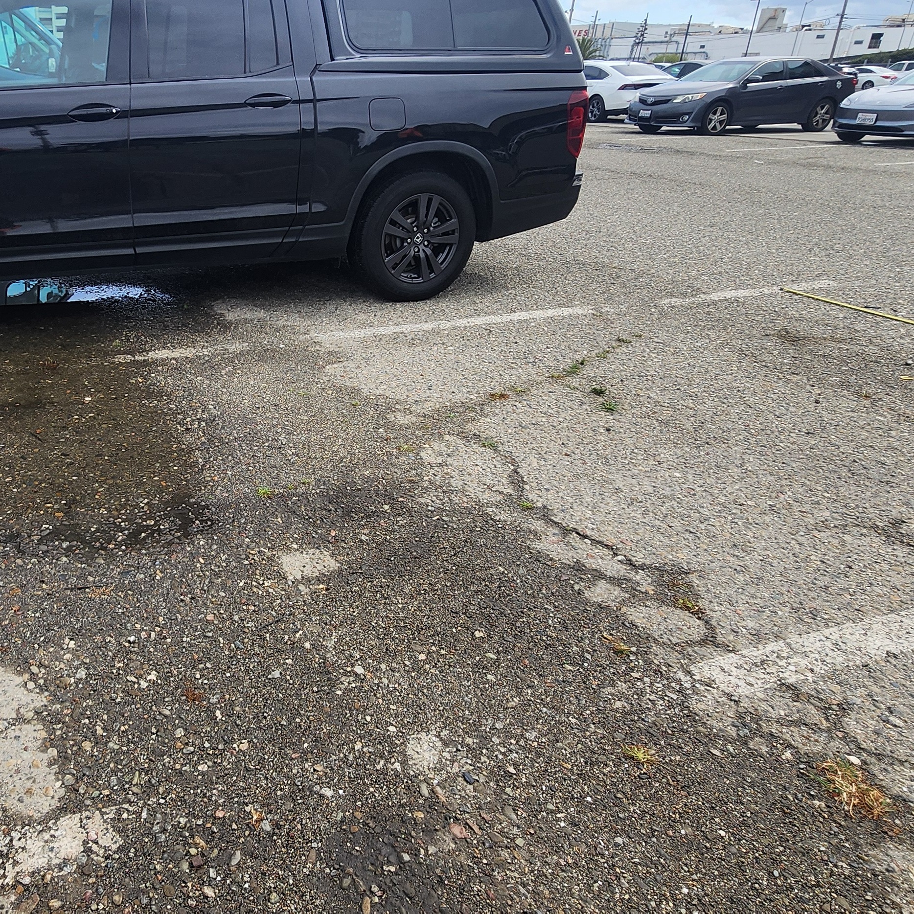 Annual Pavement Maintenance Helps Prevent Expensive Parking Lot Repairs 1 parking-lots-cracks-c-wlp in SAN MATEO, CA