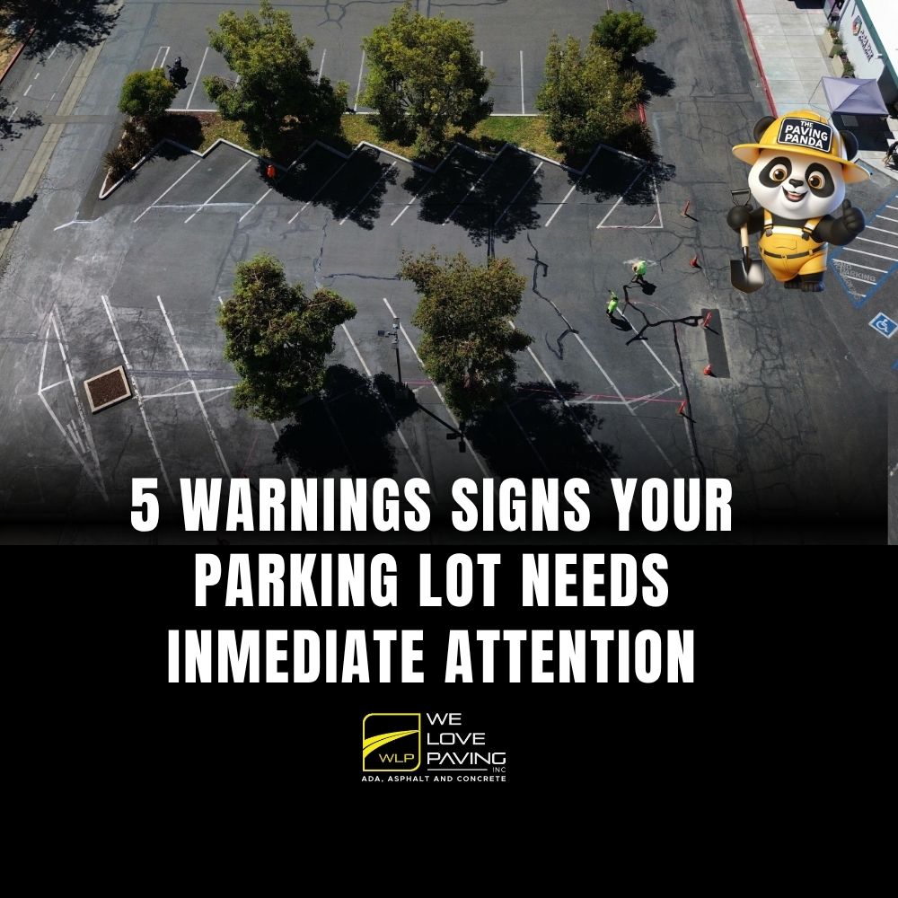 5 Warning Signs Your Parking Lot Needs Immediate Attention (Before It Costs You Thousands)