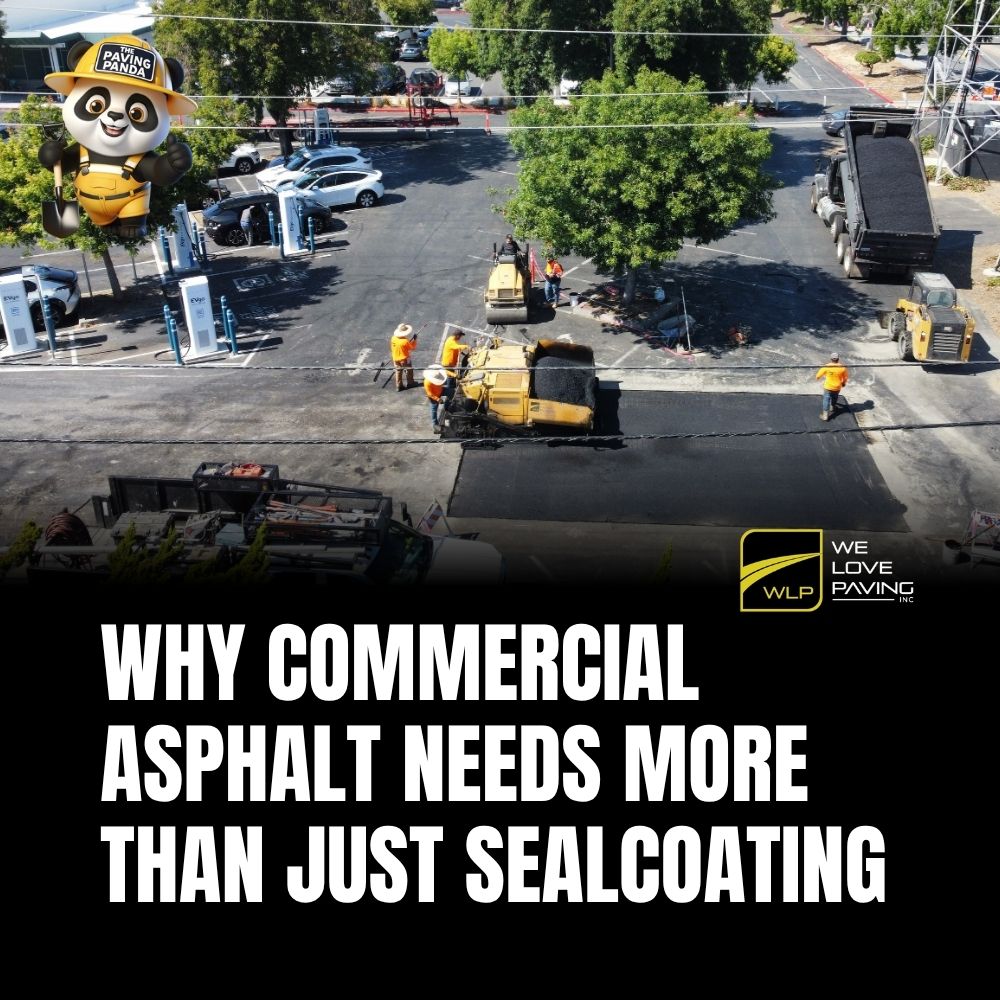 Why Commercial Asphalt Needs More Than Just Sealcoating