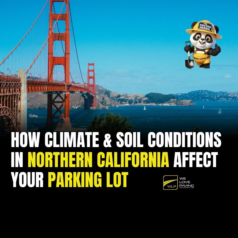 How Climate & Soil Conditions in Northern California Affect Your Parking Lot