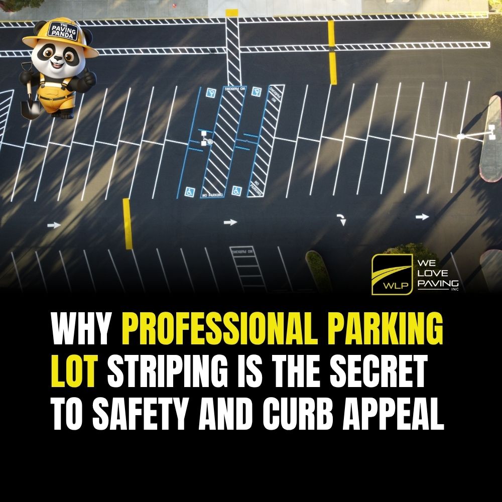 Why Professional Parking Lot Striping in Northern California Is the Secret to Safety and Curb Appeal