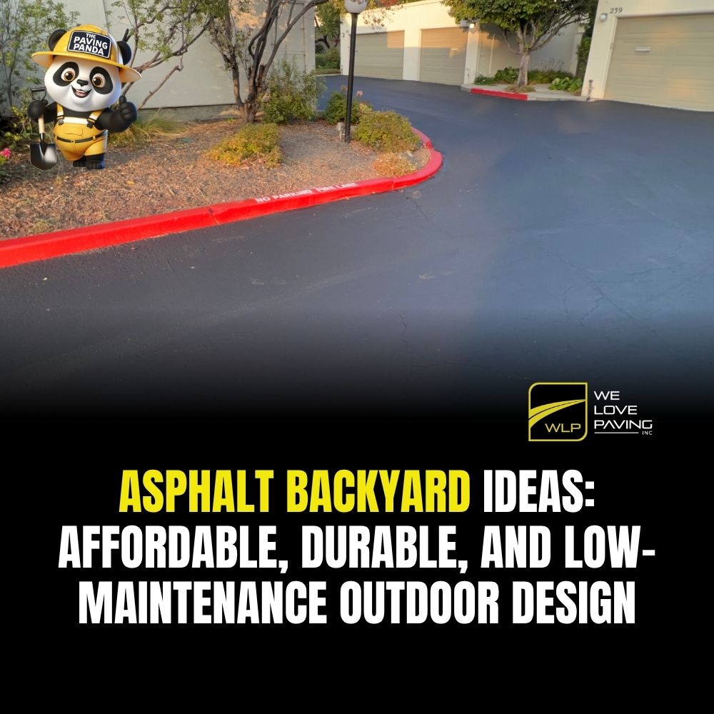Asphalt Backyard Ideas: Affordable, Durable, and Low-Maintenance Outdoor Design
