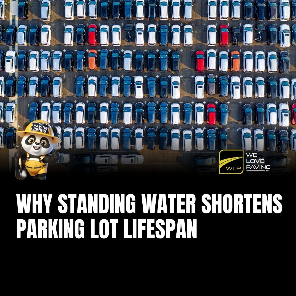 Why Standing Water Shortens Parking Lot Lifespan