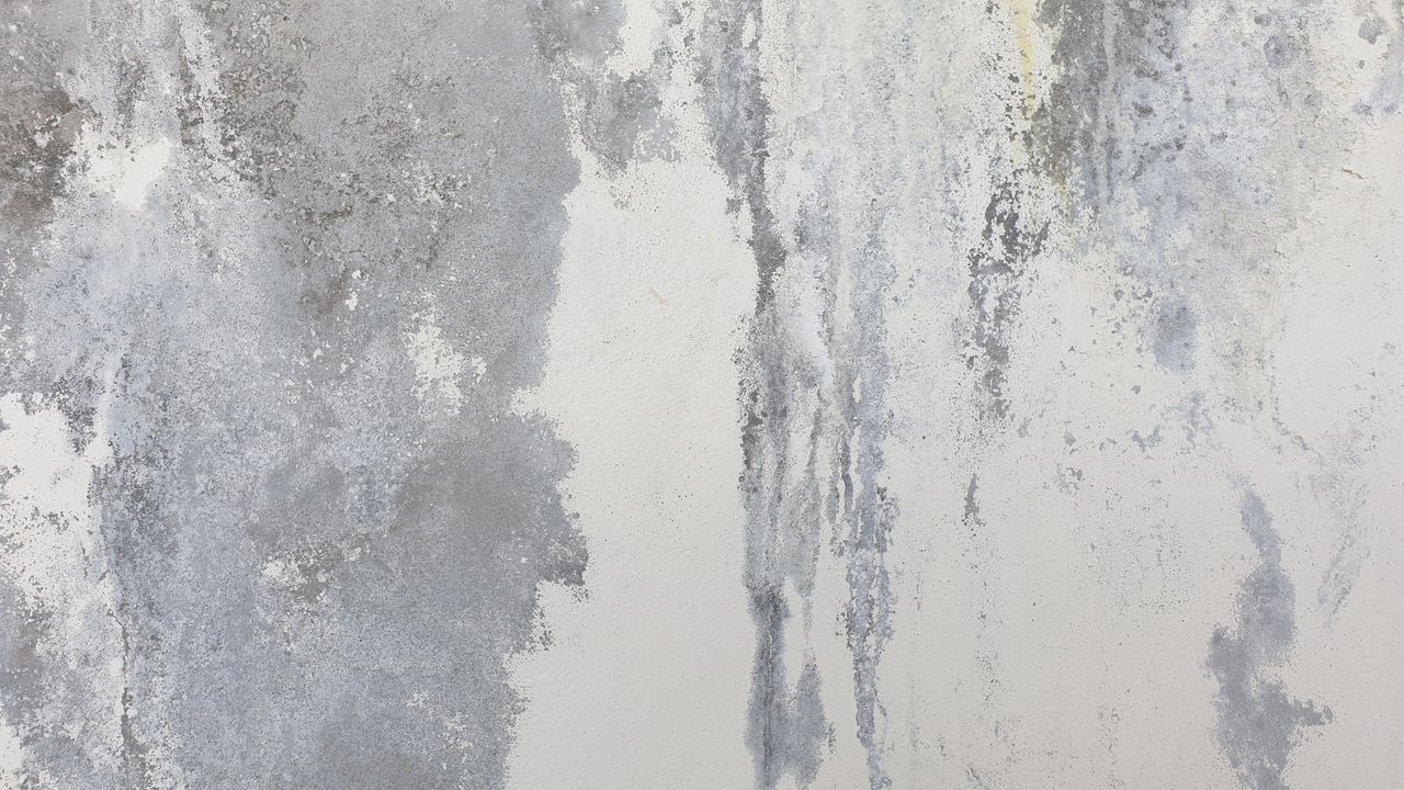 Concrete Efflorescence in California: What It Means and What to Do